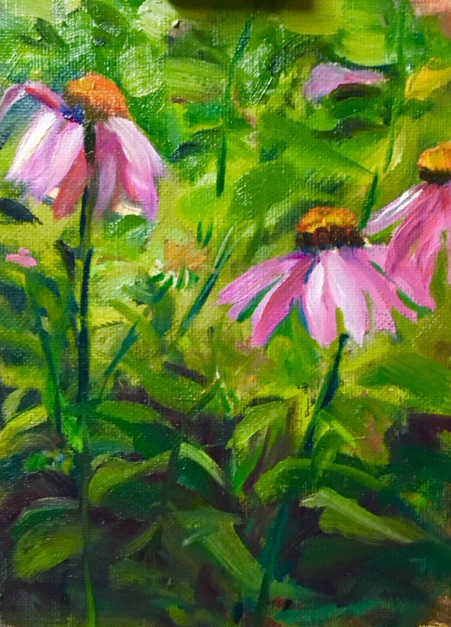 <em>Coneflowers</em><span>oil on canvas</span><span>5 x 7</span><span>$125</span>