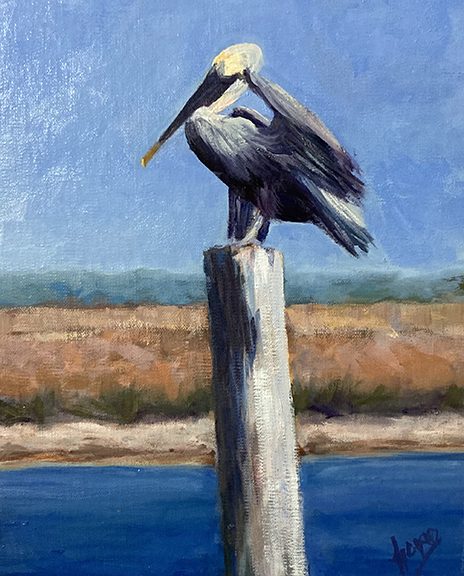 <em>Pelican Pose</em><span>oil on canvas</span><span>9 x 12</span><span>$225</span>